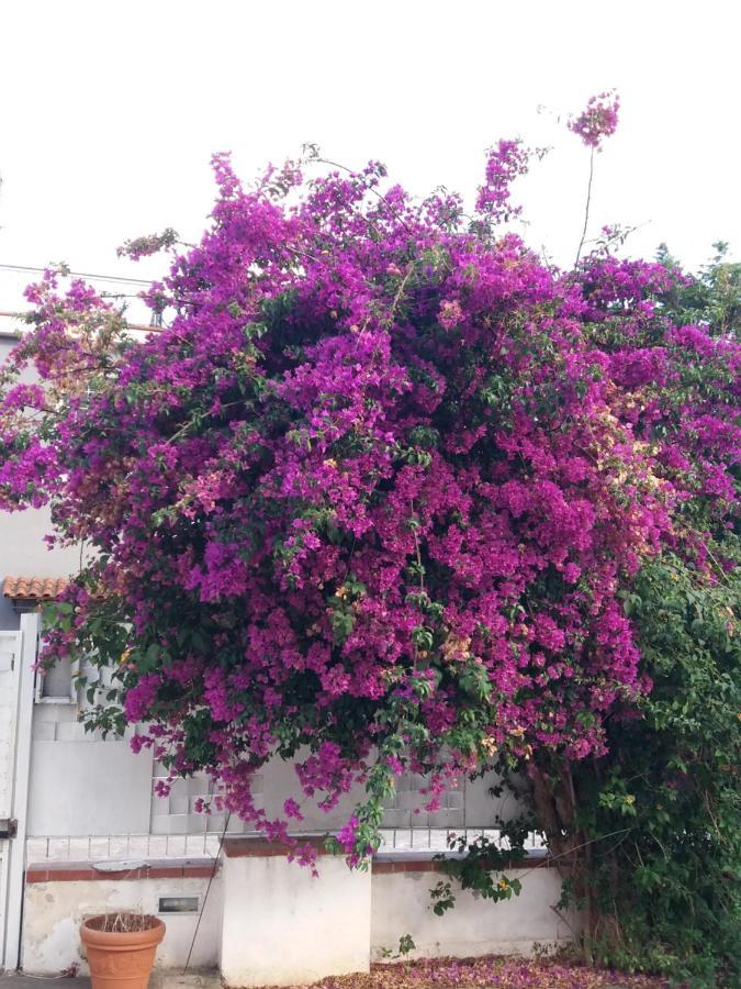 Casa Agrumeto - Locazione Turistica Mondello Εξωτερικό φωτογραφία