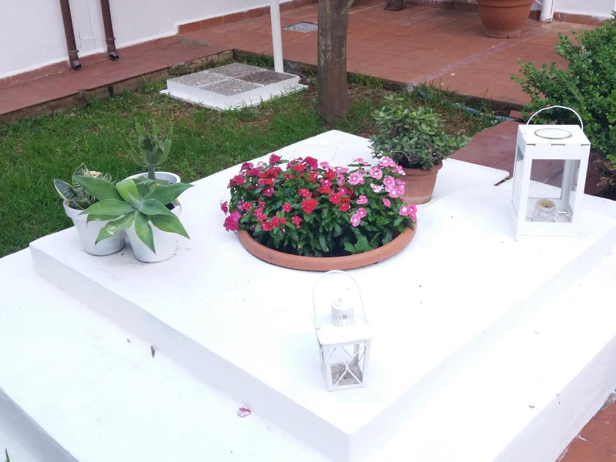 Casa Agrumeto - Locazione Turistica Mondello Εξωτερικό φωτογραφία