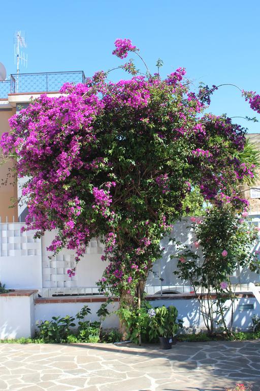 Casa Agrumeto - Locazione Turistica Mondello Δωμάτιο φωτογραφία