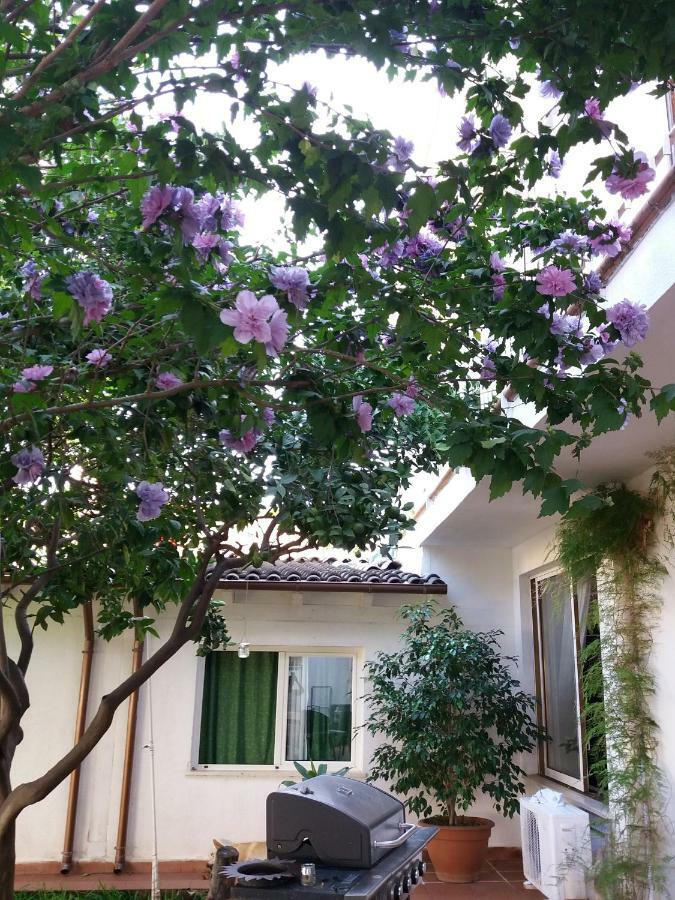 Casa Agrumeto - Locazione Turistica Mondello Εξωτερικό φωτογραφία